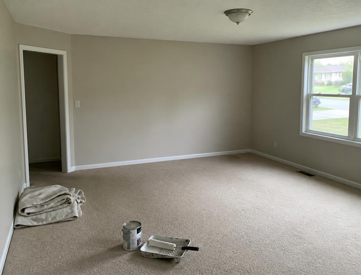Interior repaint with trim detail